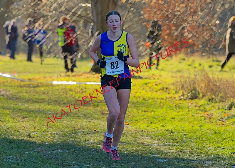 20260104 ANXCB 00038A.JPG