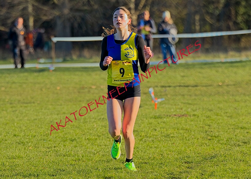 20260104 ANXCB 00203A.JPG