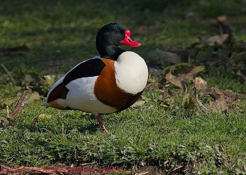 20250403PENSAPRIL00073A.JPG