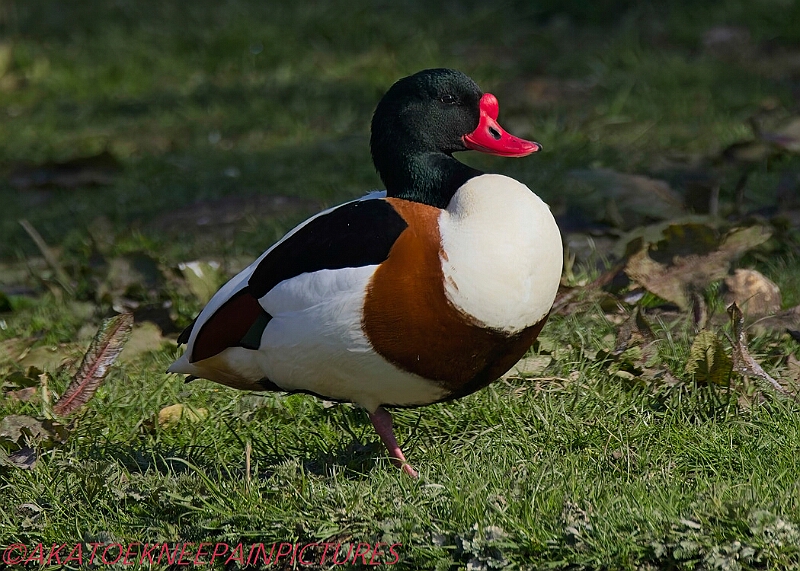 20250403PENSAPRIL00074A.JPG