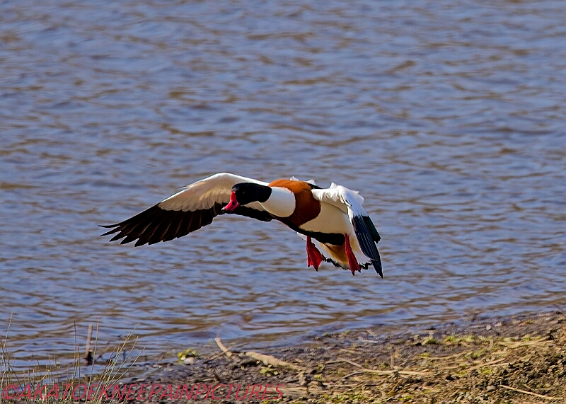 20250403PENSAPRIL00213A.JPG