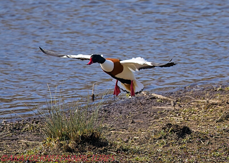 20250403PENSAPRIL00214A.JPG
