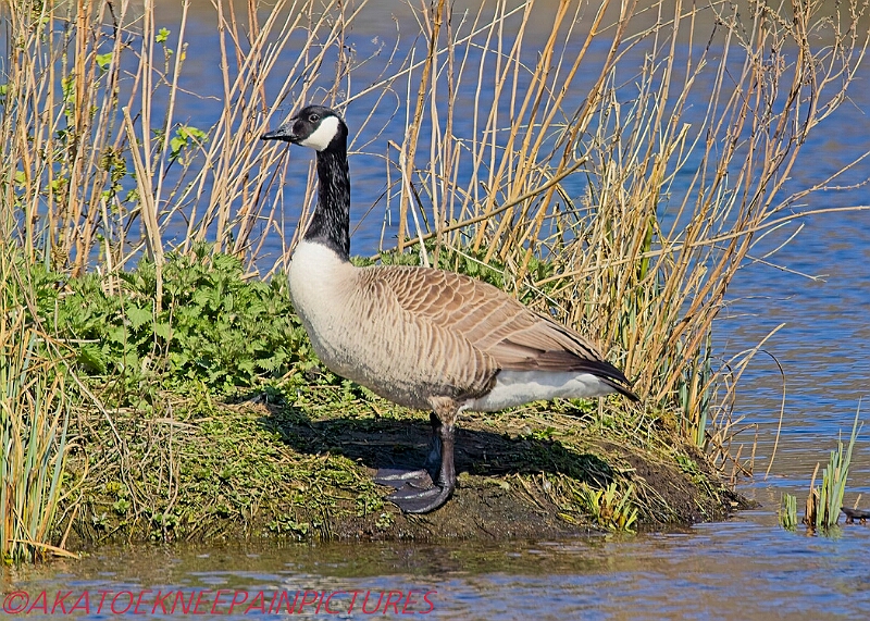 20250403PENSAPRIL00315A.JPG