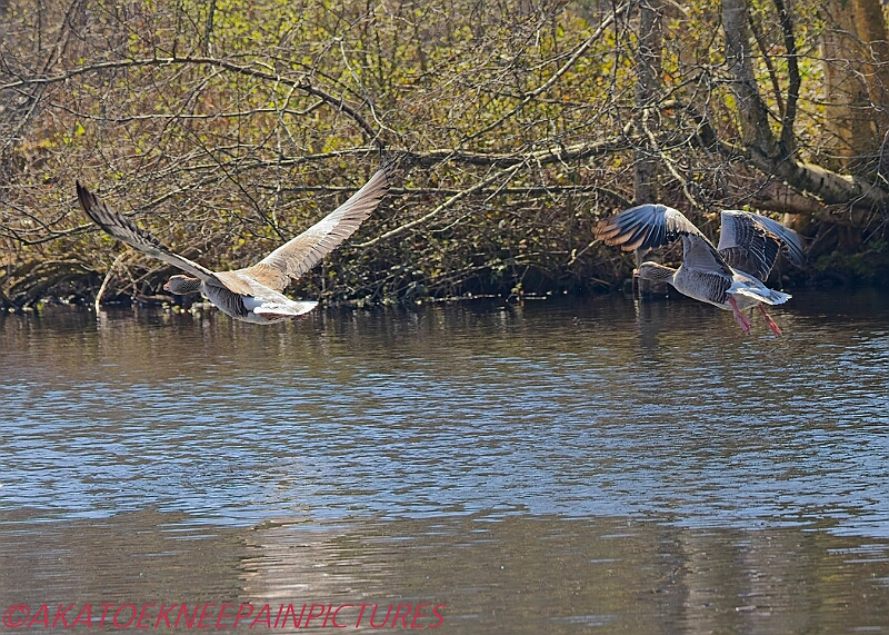20250403PENSAPRIL00345A.JPG