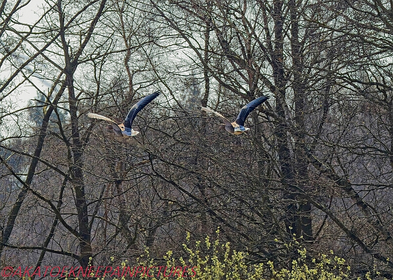 20250403PENSAPRIL00353A.JPG