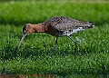 20250403PENSAPRIL00026A