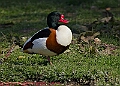 20250403PENSAPRIL00073A