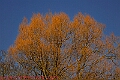 20250403PENSAPRIL00087A