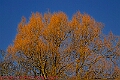 20250403PENSAPRIL00088A