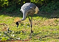20250403PENSAPRIL00092A