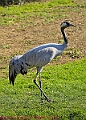 20250403PENSAPRIL00111A