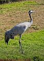 20250403PENSAPRIL00116A