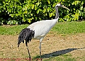 20250403PENSAPRIL00125A