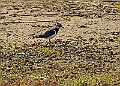 20250403PENSAPRIL00159A