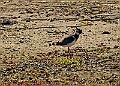 20250403PENSAPRIL00161A