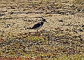 20250403PENSAPRIL00162A
