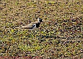 20250403PENSAPRIL00258A