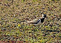 20250403PENSAPRIL00259A