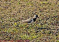 20250403PENSAPRIL00260A