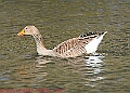 20250403PENSAPRIL00278A