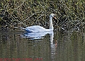 20250403PENSAPRIL00311A