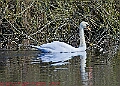 20250403PENSAPRIL00312A