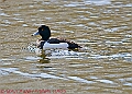 20250403PENSAPRIL00335A