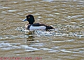 20250403PENSAPRIL00336A