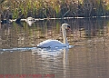 20250403PENSAPRIL00341A