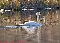 20250403PENSAPRIL00343A