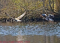 20250403PENSAPRIL00345A