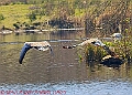 20250403PENSAPRIL00346A
