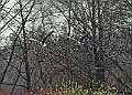 20250403PENSAPRIL00353A