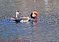 20250403PENSAPRIL00372A