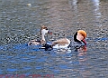 20250403PENSAPRIL00374A