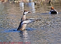 20250403PENSAPRIL00382A