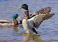 20250403PENSAPRIL00400A
