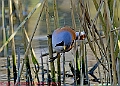 20250403PENSAPRIL00459A