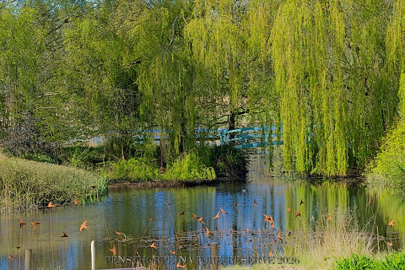 20260423 PENSAPR00073A.JPG