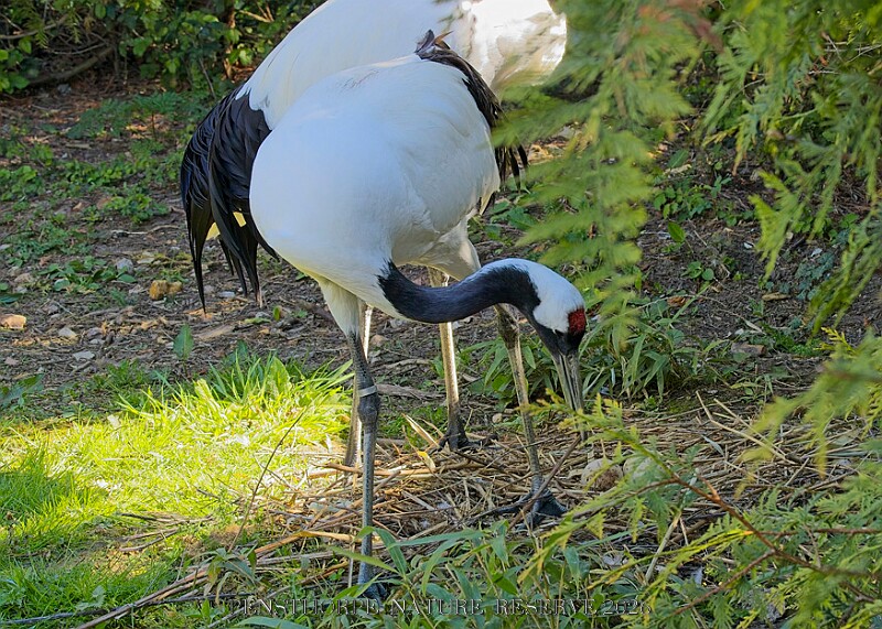 20260423 PENSAPR00137A.JPG