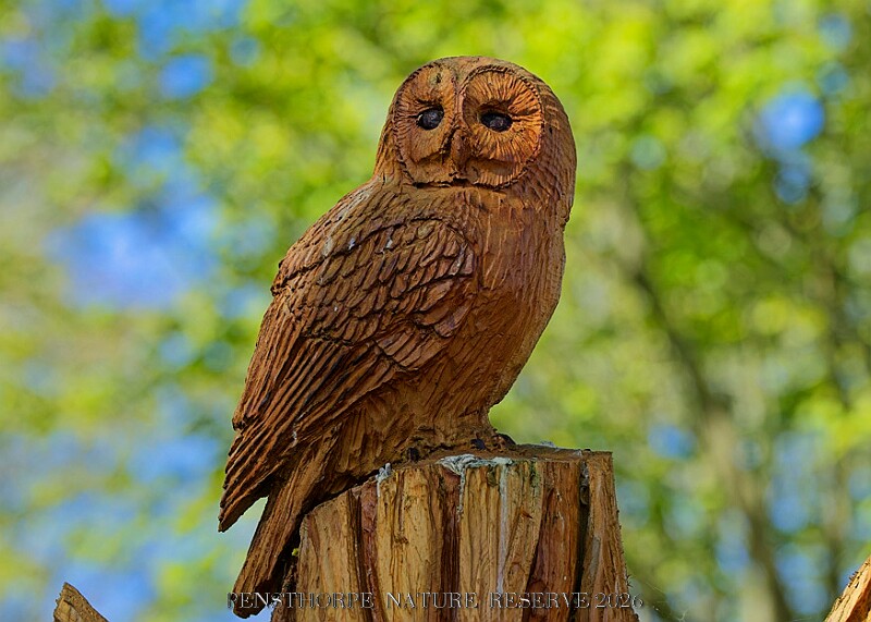 20260423 PENSAPR00208A.JPG