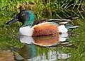 20260423 PENSAPR00039A
