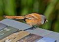 20260423 PENSAPR00045A