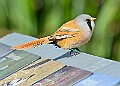 20260423 PENSAPR00048A