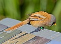 20260423 PENSAPR00052A
