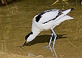 20260423 PENSAPR00061A