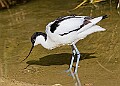 20260423 PENSAPR00062A
