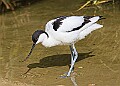 20260423 PENSAPR00064A