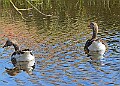 20260423 PENSAPR00067A