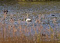 20260423 PENSAPR00072A